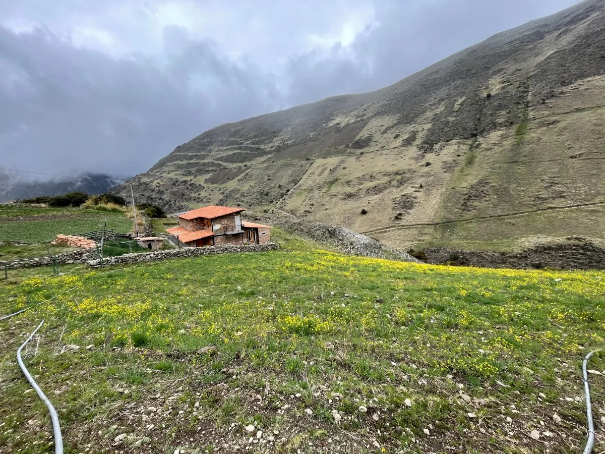Terra's planted land with the mountains behind